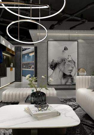 �׸���˹• INSϵ�У�Ʒ�|(zh��)����ē�(d��n)��(d��ng)���b��Ч���D